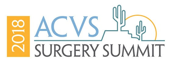 Have fun at ACVS 2018